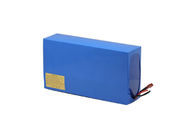 Customized 24V Deep Cycle LiFePO4 Battery, Light Weight Soft Pack Lithium Battery